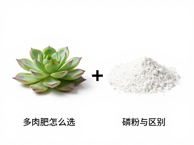 避开肥害的浓度与频率控制