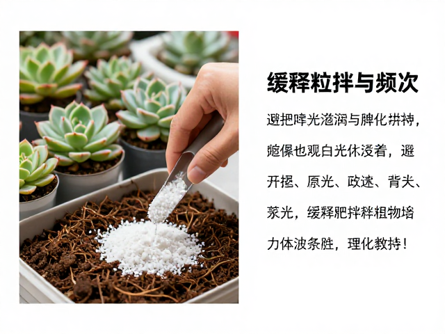 缓释肥的选择逻辑与理化特性