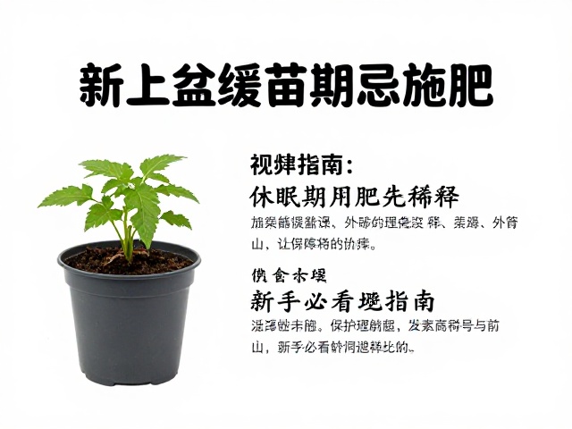避坑指南:识别错误施肥的前兆与应对