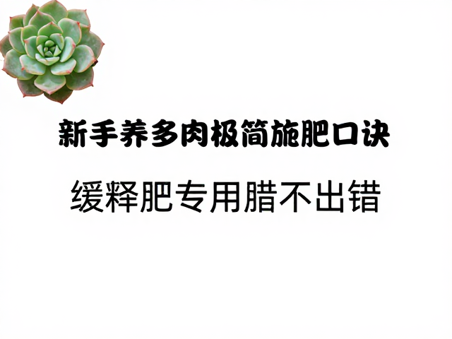 专用肥不出错的关键细节