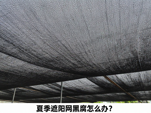 夏季遮阳网黑腐怎么办？防晒棚遮光降温实操指南
