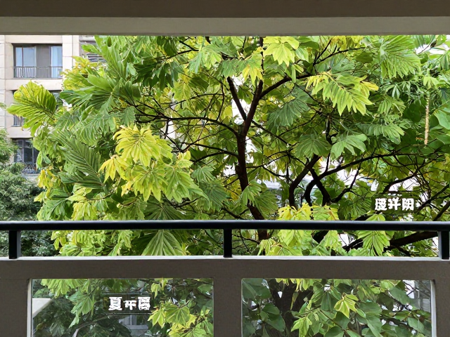 过渡季节的灵活调节