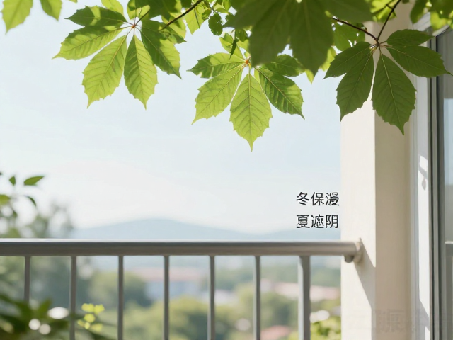 夏季遮阴的光热管理
