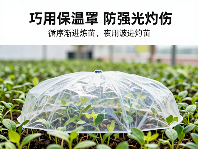 环境因子协同管理与长期监测