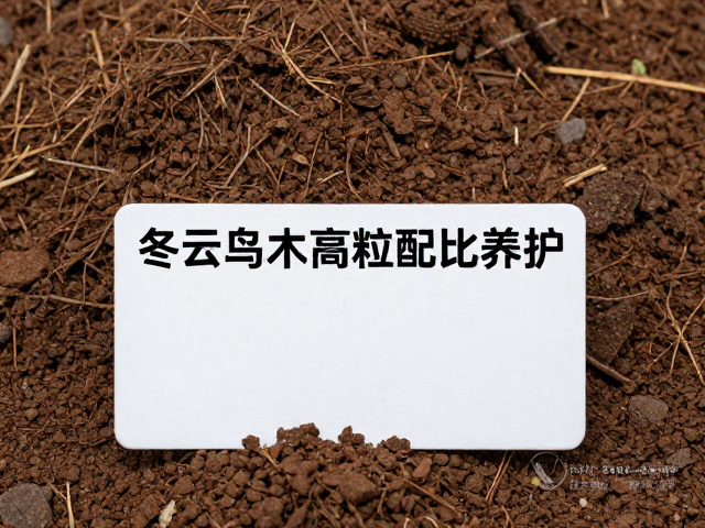 冬云乌木高颗粒配比养护，80%颗粒土，标签牌控型技巧