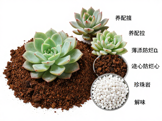 配土实操中的关键细节与验证
