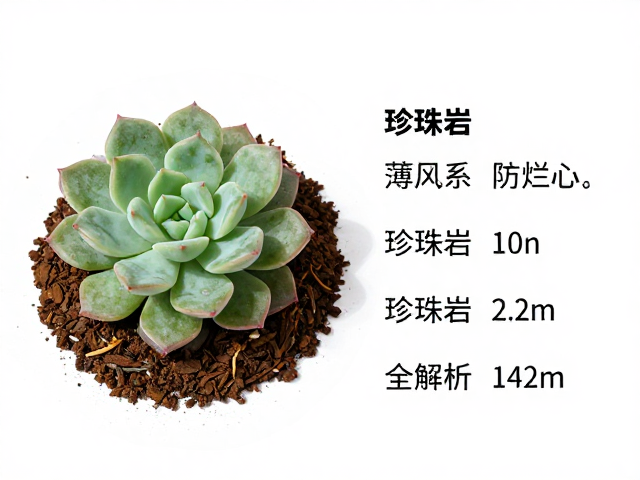 多肉控养配土，薄叶系透气防烂心，珍珠岩比例全解析