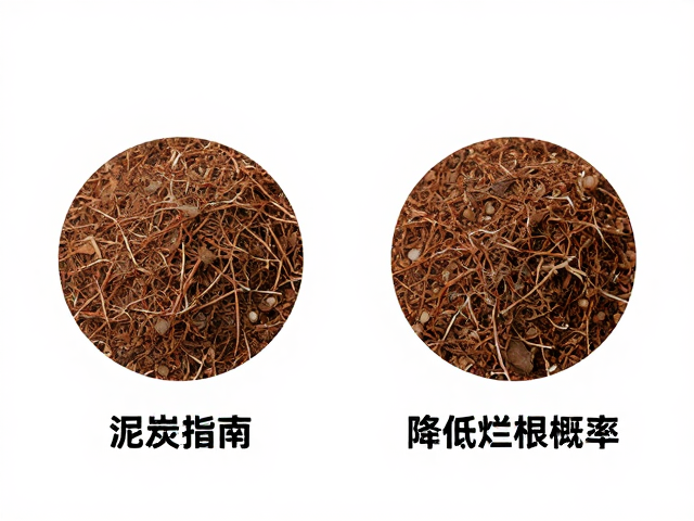 潜在缺陷与改良策略
