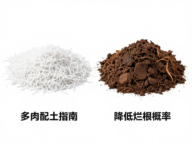 椰糠替代泥炭优缺点，多肉盆土配土指南，降低烂根概率