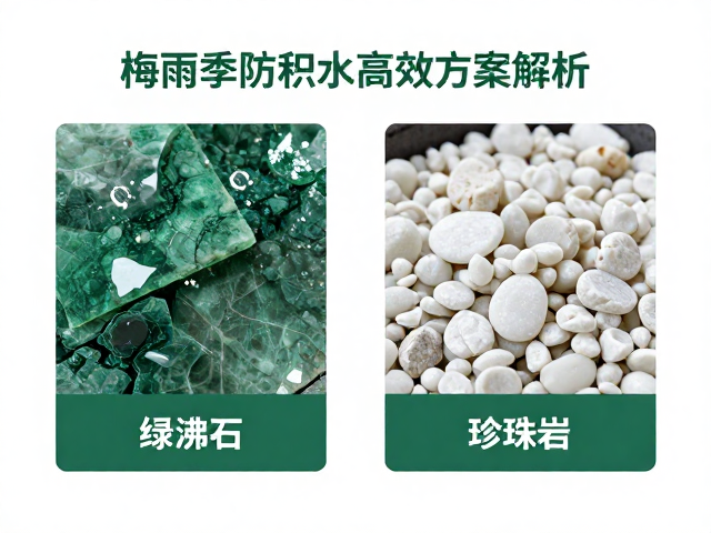 种植环境与排水系统的协同优化