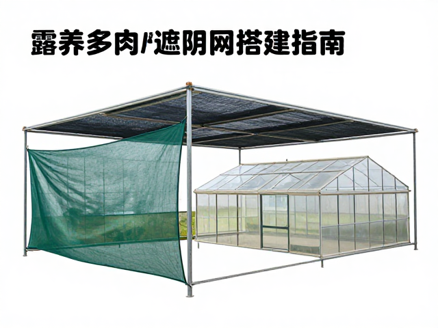 安装步骤与细节处理