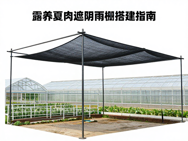 日常维护与极端天气应对