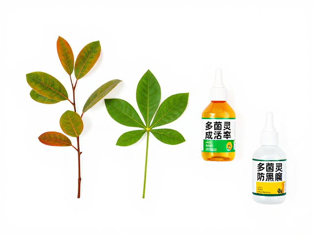 多菌灵在防黑腐中的实际应用与操作规范