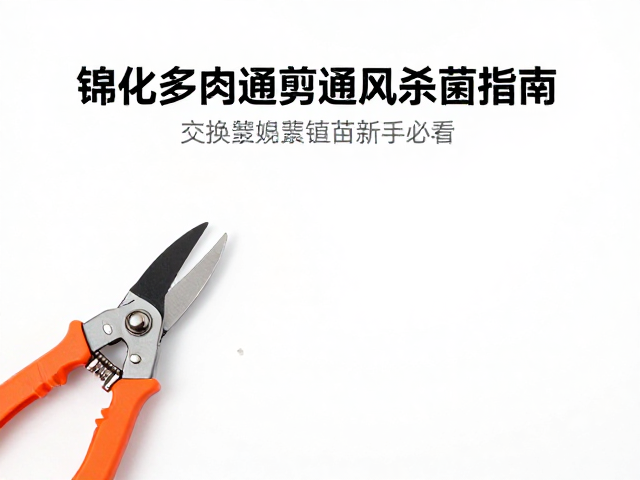 锦化多肉修剪通风杀菌指南，交换繁殖苗新手必看