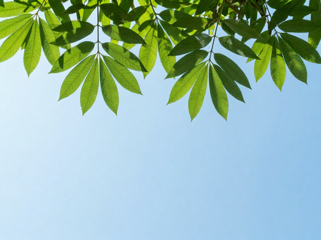 夏季化水怎么救？便宜好养的入门普货，遮阴通风不烂根