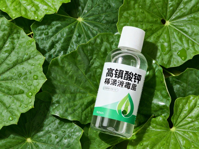 防黑腐的日常养护与环境管理
