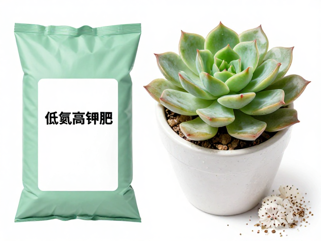 常见问题排查与养护调整