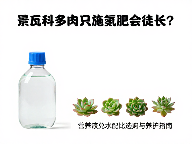 科学兑水配比与施肥频率控制