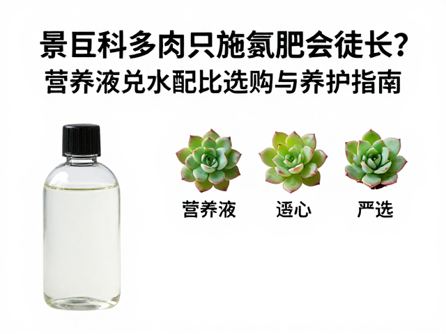 营养液选购逻辑与核心成分筛选