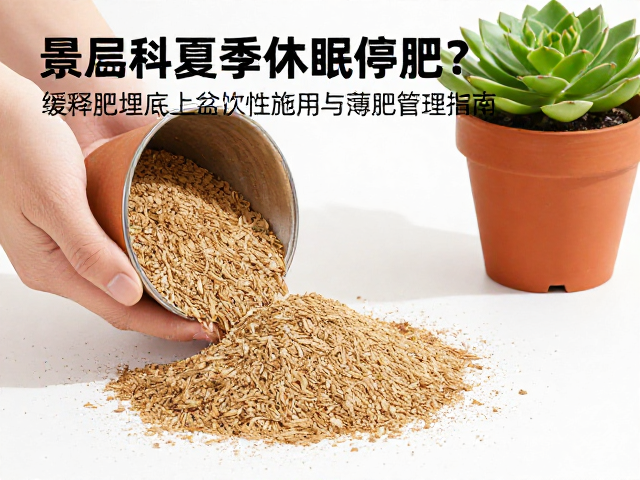 缓释肥底肥的精准施用与上盆技巧