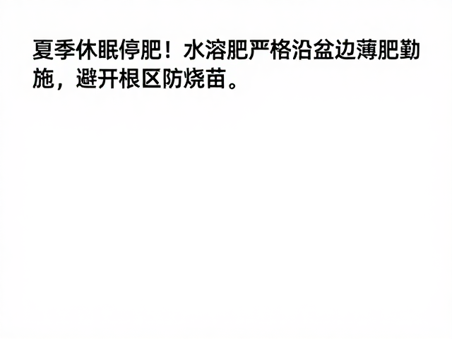 避开根区防烧苗的科学依据与风险提示