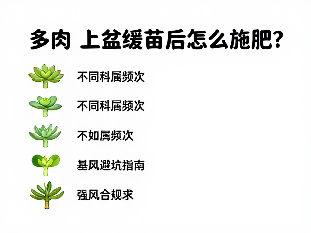 多肉上盆缓苗后怎么施肥？不同科属频次，通风避坑指南