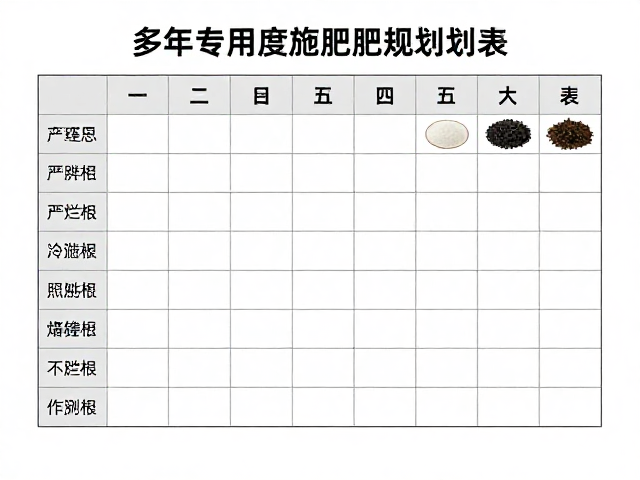施肥操作的标准化流程与风险控制