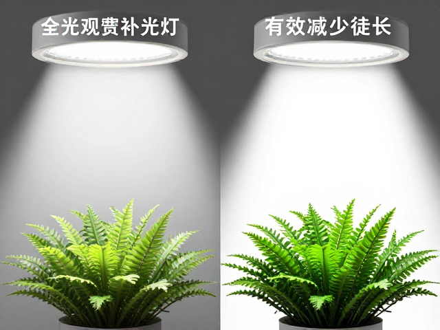 全光谱植物补光灯的潜在劣势与使用考量