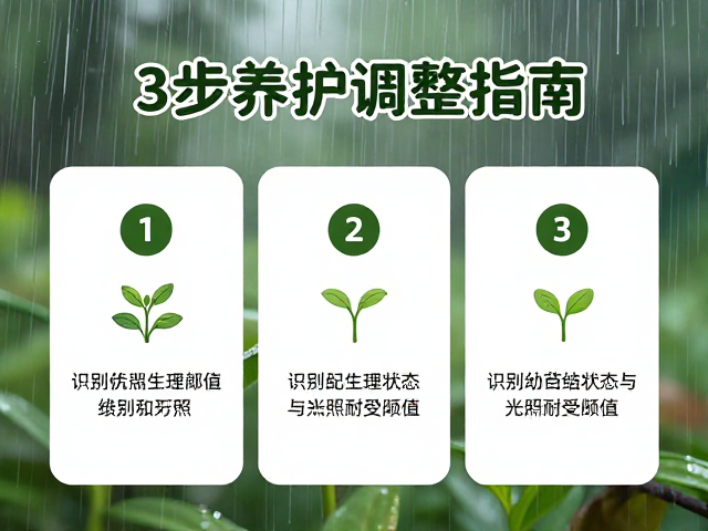 识别幼苗生理状态与光照耐受阈值