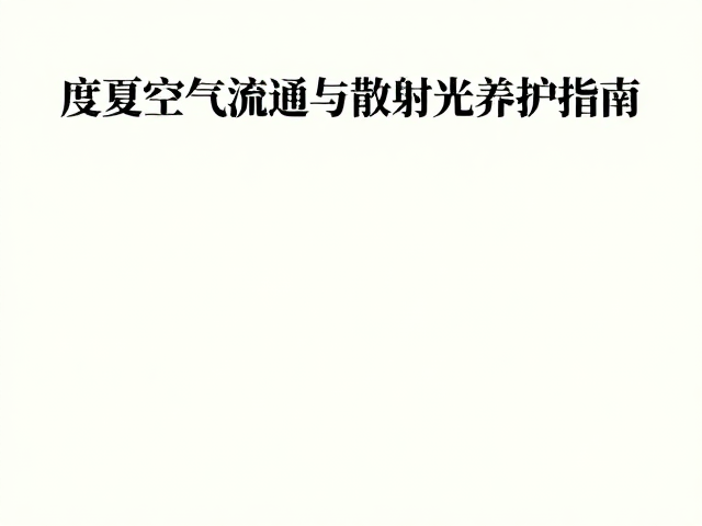 散射光养护指南