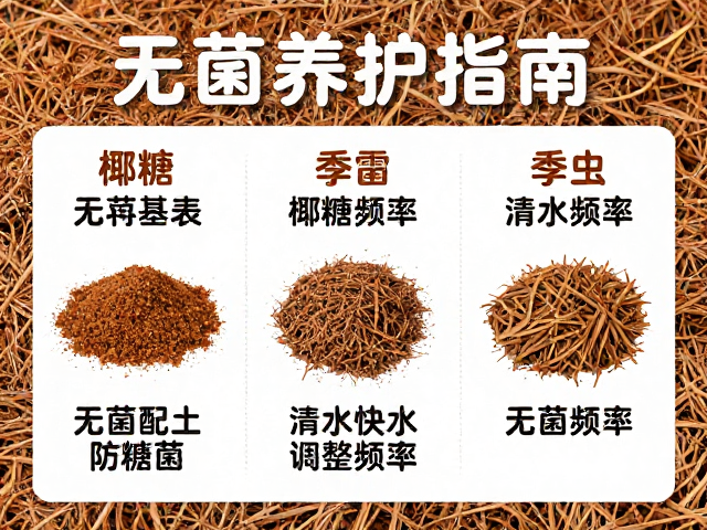 椰糠配土防虫菌，结合季节变化调整浇水频率，无菌养护指南