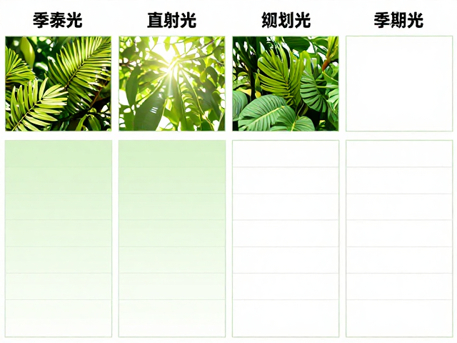 春季光照过渡与春季养护规划