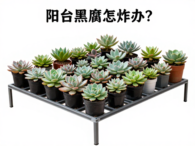 苗床架空设计的科学布局与实施