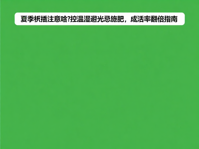 夏季扦插注意啥？控温湿避光忌施肥，成活率翻倍指南