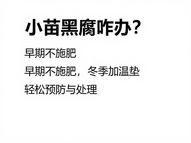 建立长效预防机制与环境优化