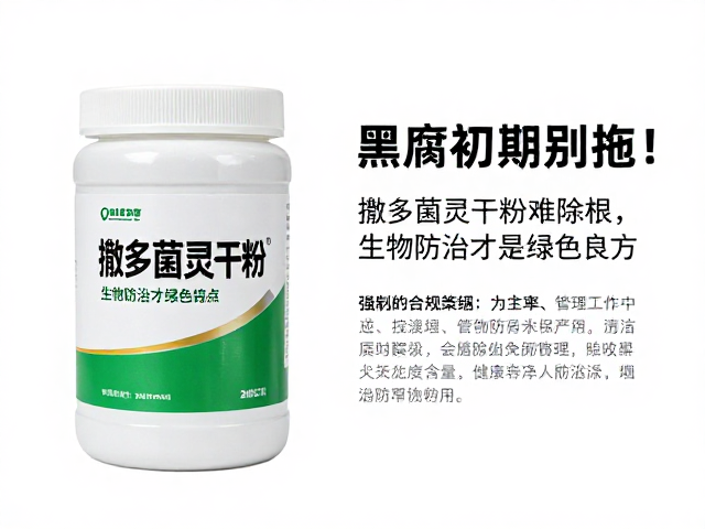 综合管理策略与执行要点