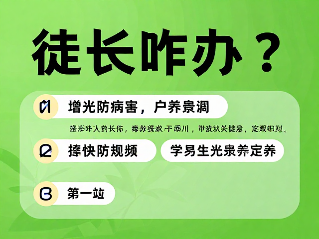 定期识别与生长状态评估