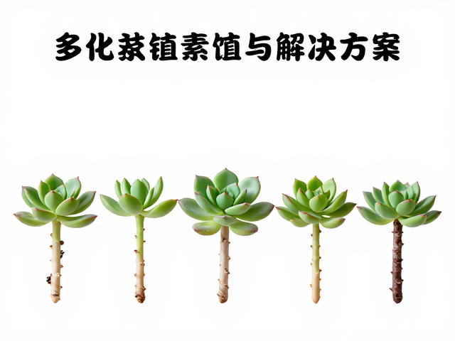 病虫害预防与长期养护