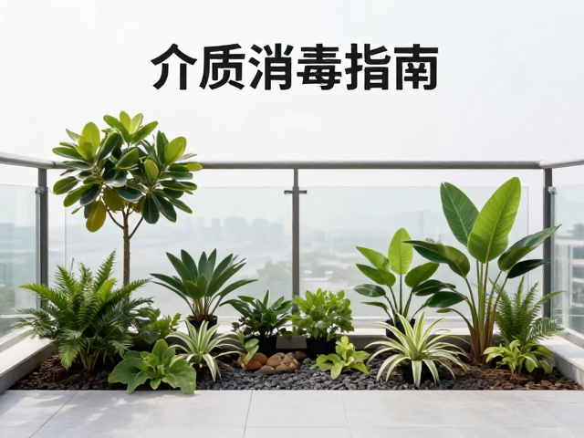 种植介质的科学消毒与配比