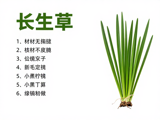 专用耗材与环境辅助材料