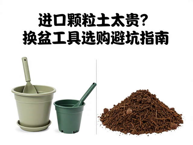 换盆前后的养护衔接与长期维护