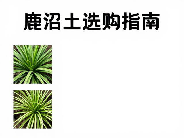 颗粒尺寸的选择逻辑与植物匹配
