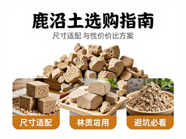 鹿沼土选购指南，尺寸适配与性价比方案，新手避坑必看