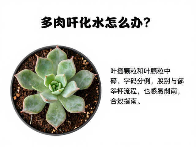 叶插颗粒土的科学配比