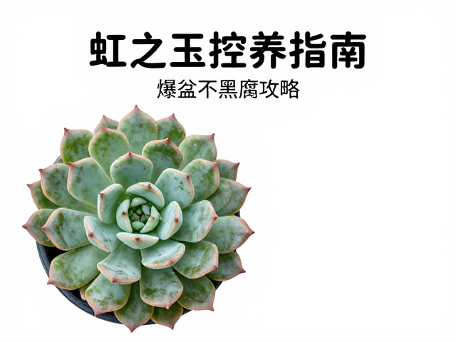 病虫害预防:物理隔离与药物干预