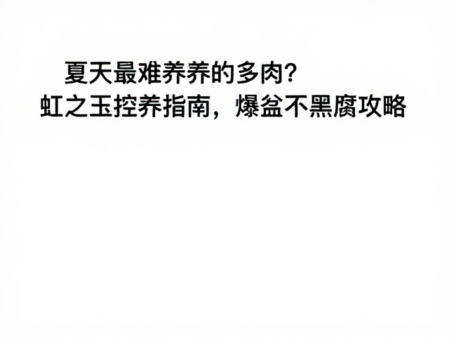 夏天最难养的多肉？虹之玉控养指南，爆盆不黑腐攻略