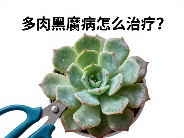 加强通风与环境调控:重塑生存微环境