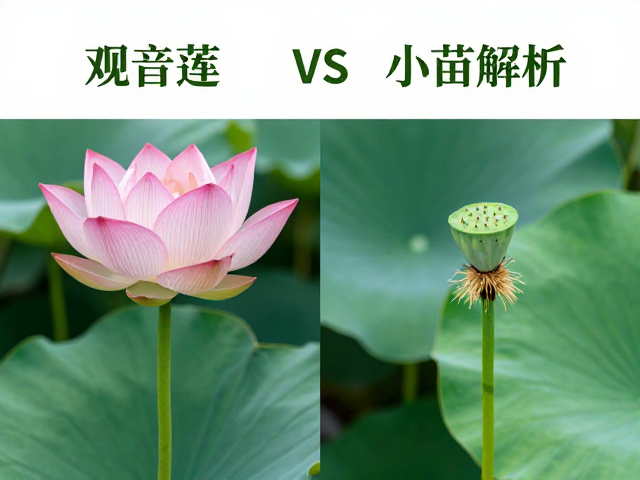 养护细节与常见误区