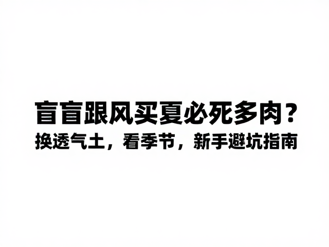盲目跟风买夏必死多肉？换透气土，看季节，新手避坑指南