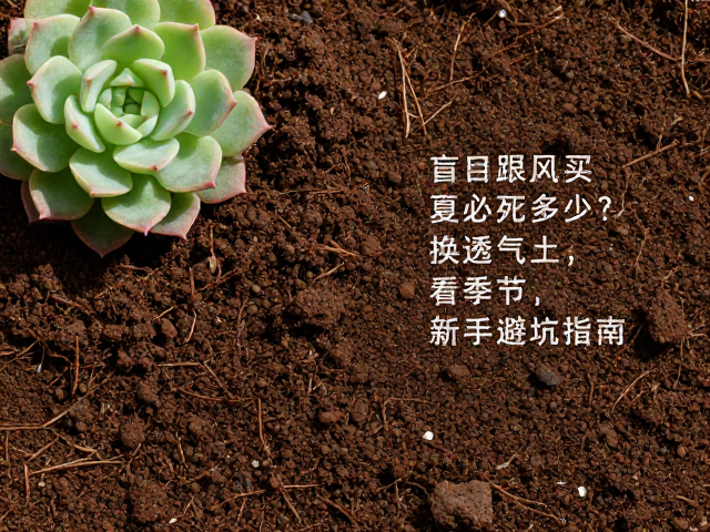 透气土壤的配置与换土时机